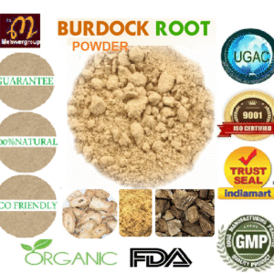 Burdock Root