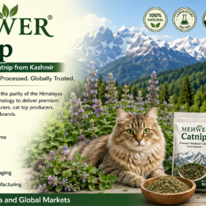 Mehwer Catnip